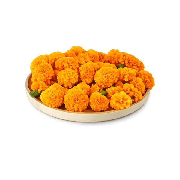 Genda (Marigold)