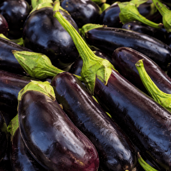 Brinjal (Baingan)