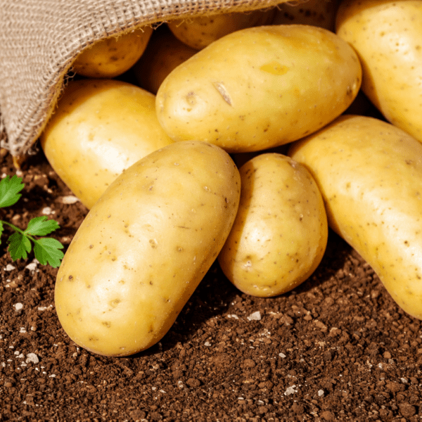 Potato (Aloo) 1kg