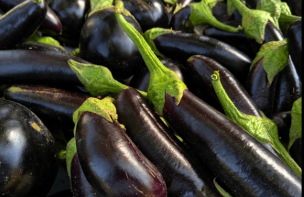 Brinjal (Baingan)