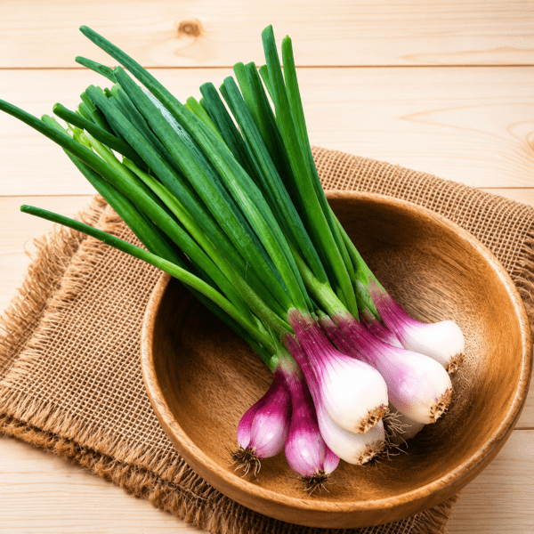 Spring Onion
